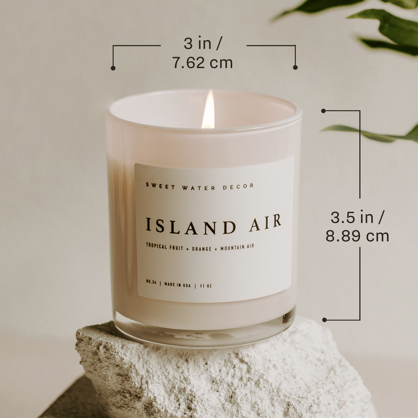 Fraser Fir Soy Candle - White Jar - 11 oz - Sweet Water Decor - Candles