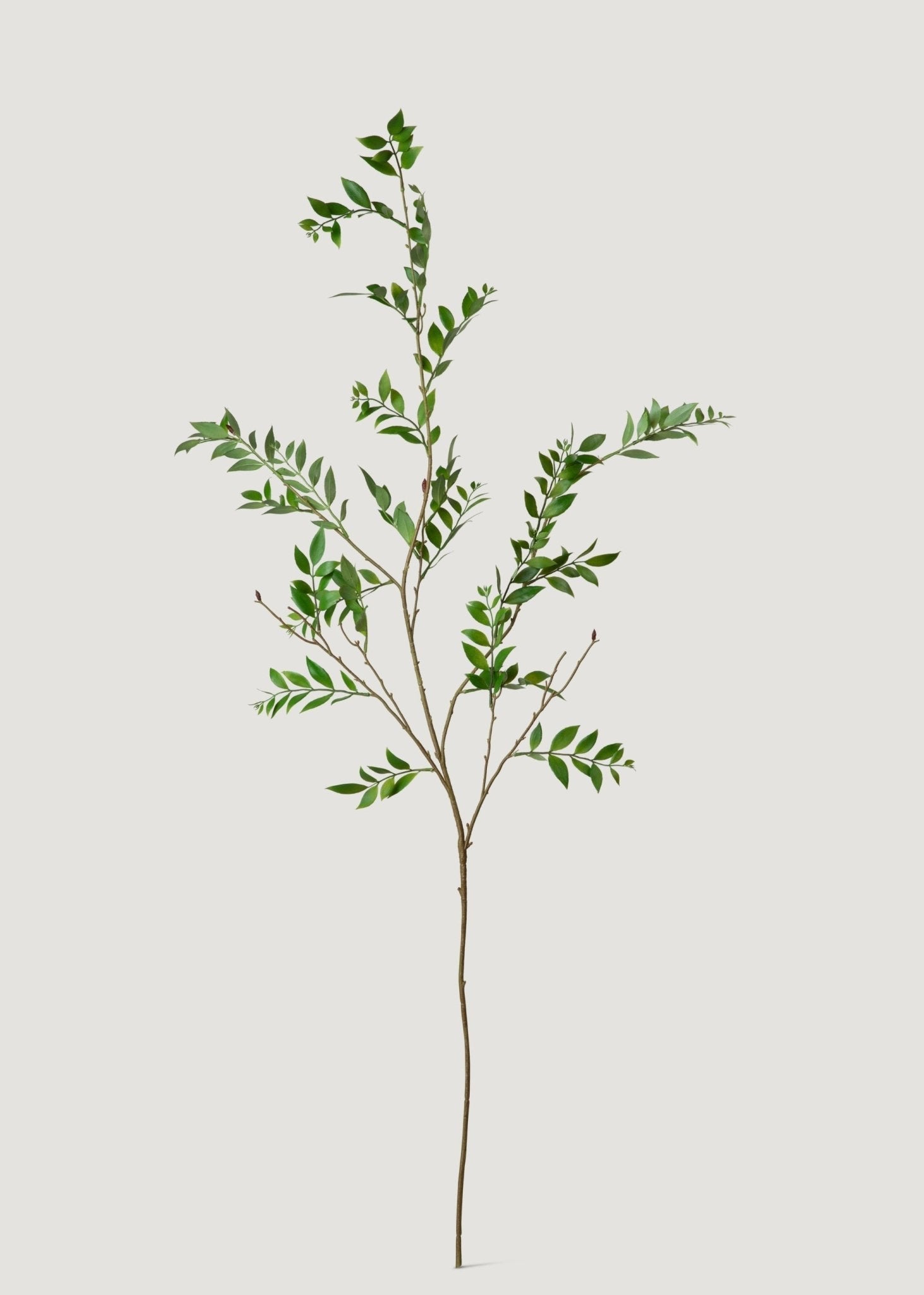 Tall Artificial Broadleaf Podocarpus Branch - 55" - Sweet Water Decor - Faux Plant