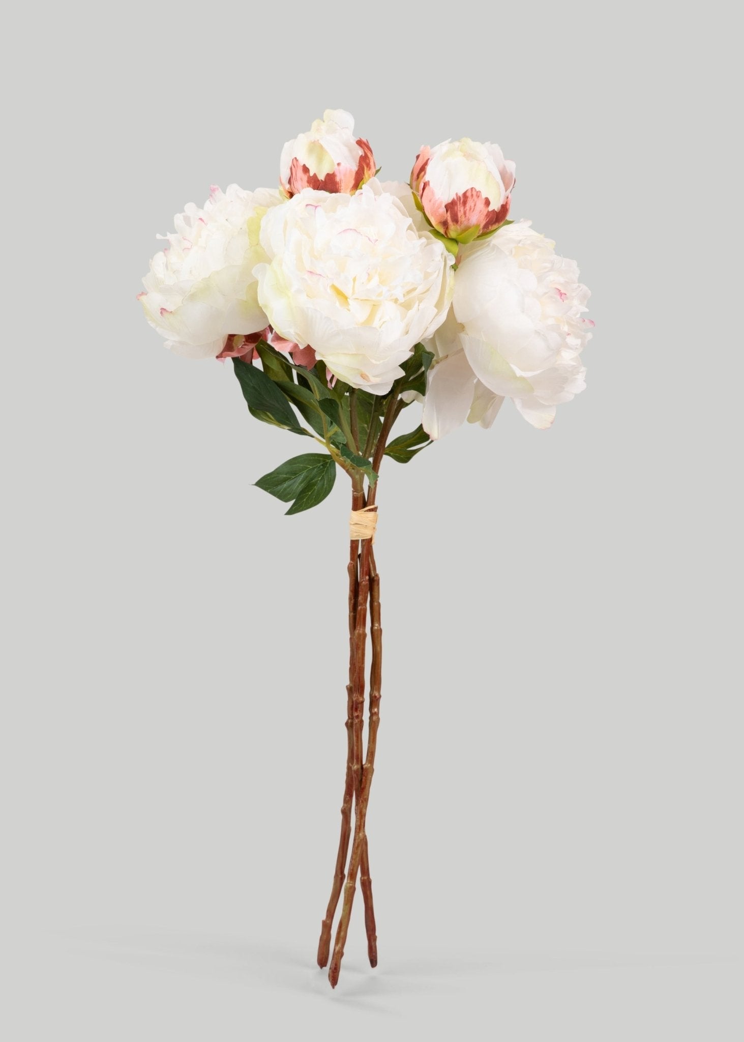 Cream Peony Faux Flower Bundle of Peonies - 21" - Sweet Water Decor - faux flower
