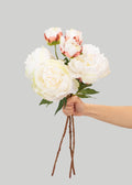 Cream Peony Faux Flower Bundle of Peonies - 21" - Sweet Water Decor - faux flower