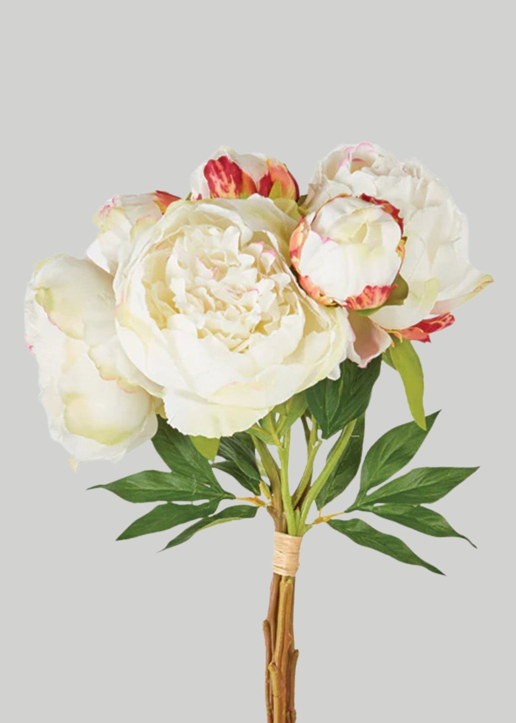 Cream Peony Faux Flower Bundle of Peonies - 21" - Sweet Water Decor - faux flower
