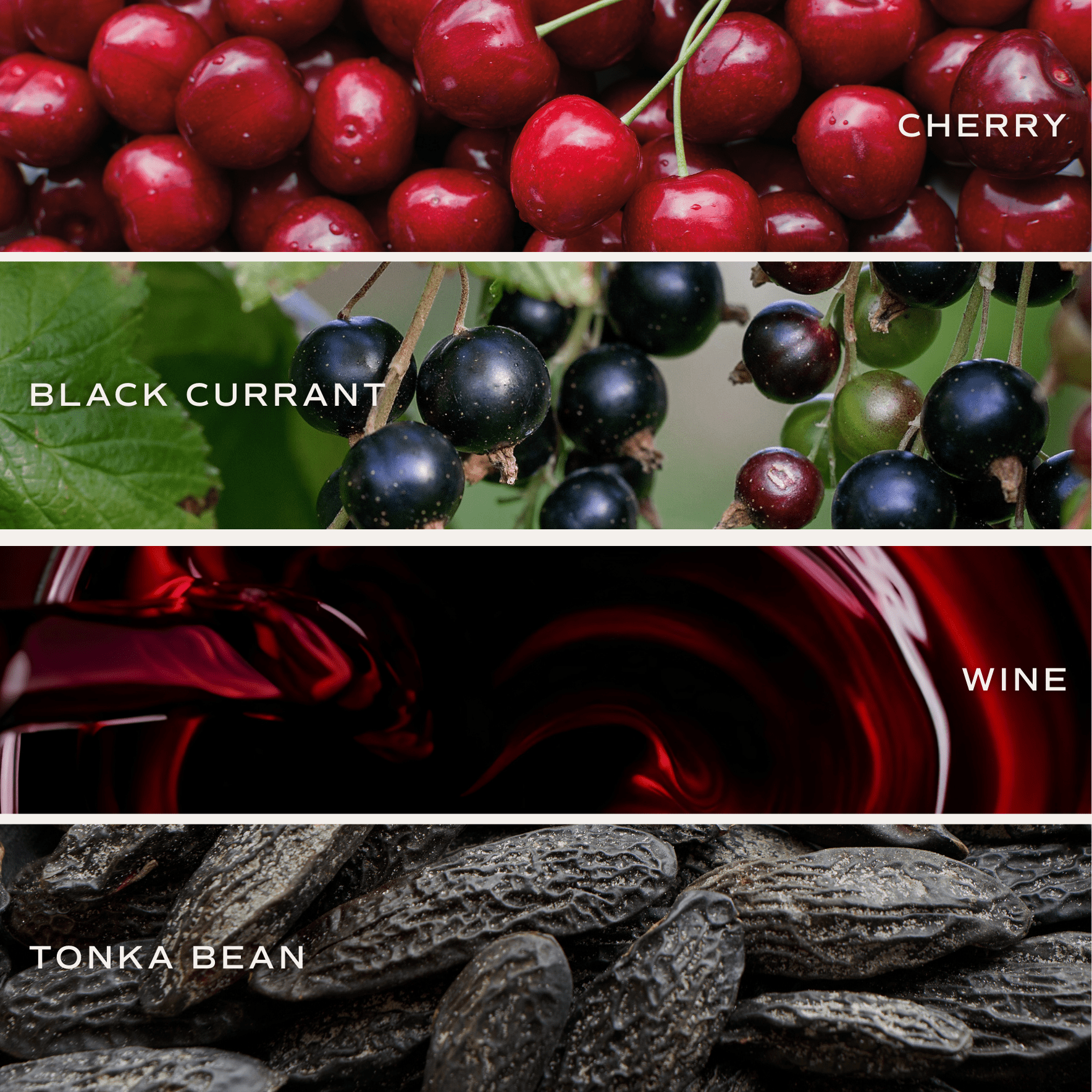 Blackwood Cherry Soy Candle - White Jar - 11 oz - Sweet Water Decor - Candles