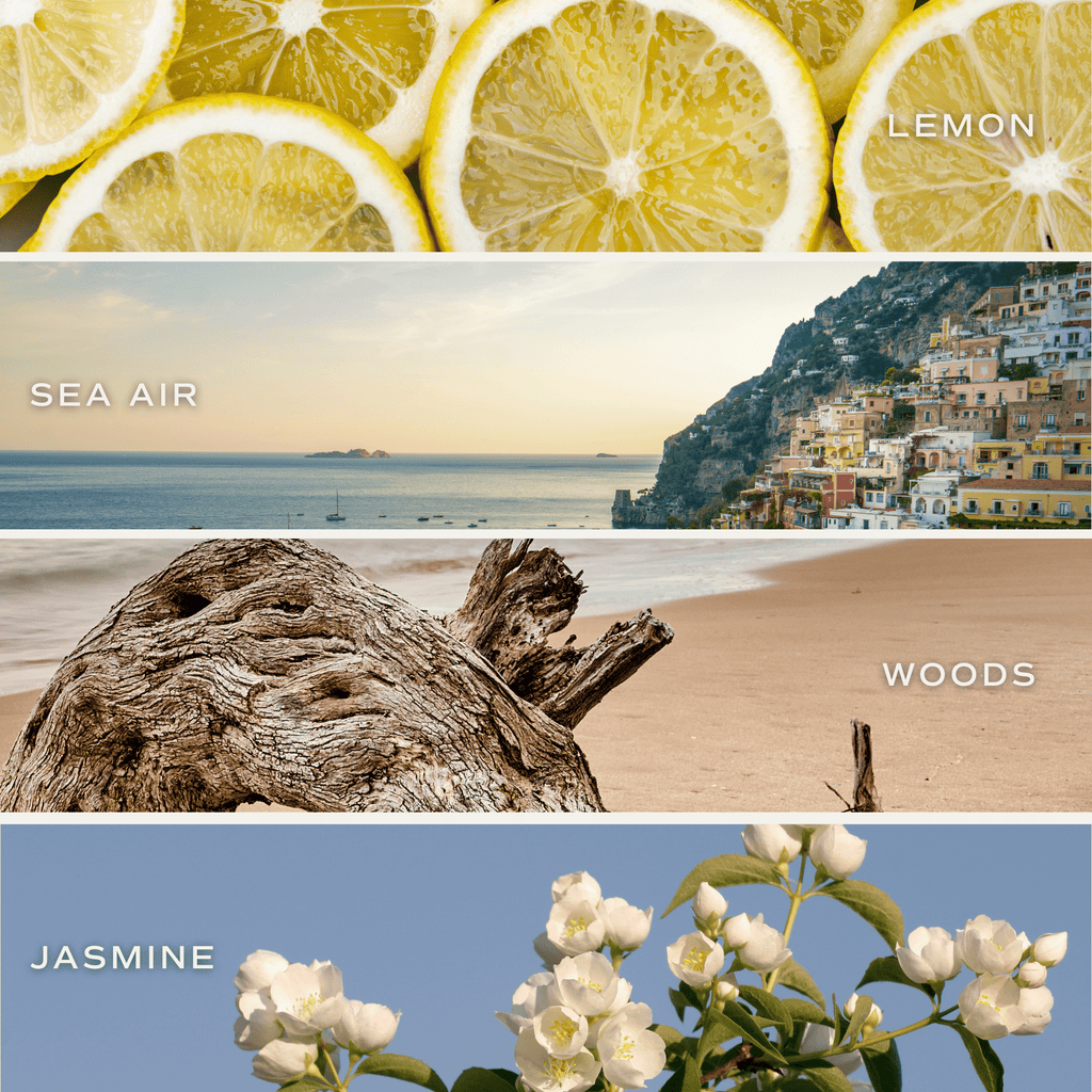 Coastal Lemon Hanging Air Freshener - Sweet Water Decor - Air Freshener