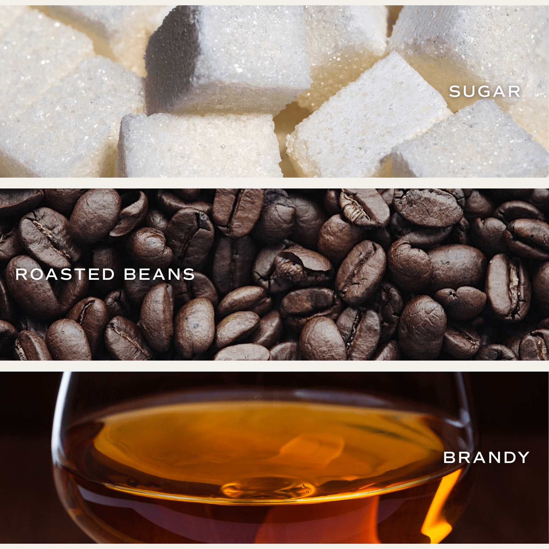 Fresh Coffee Soy Candle - Clear Jar - 9 oz - Sweet Water Decor - Candles