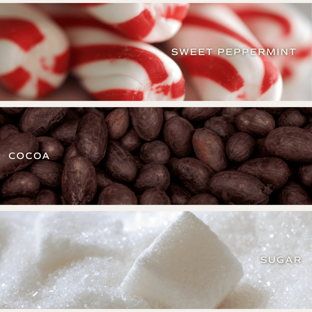 Candy Cane and Cocoa Soy Candle - Red Matte Jar - 15 oz (Hot Cocoa and Peppermint) - Sweet Water Decor - Candles