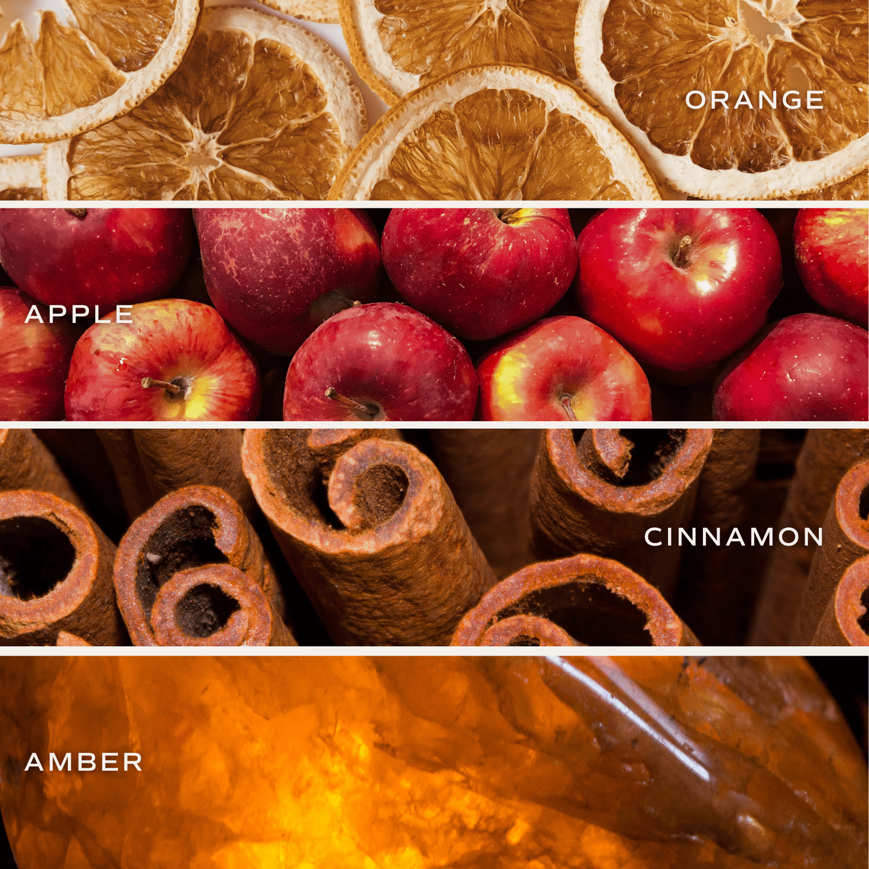 Autumn Orchard Soy Candle - Patterned 9 oz - Clear Jar (Mulled Cider) - Sweet Water Decor - Candles