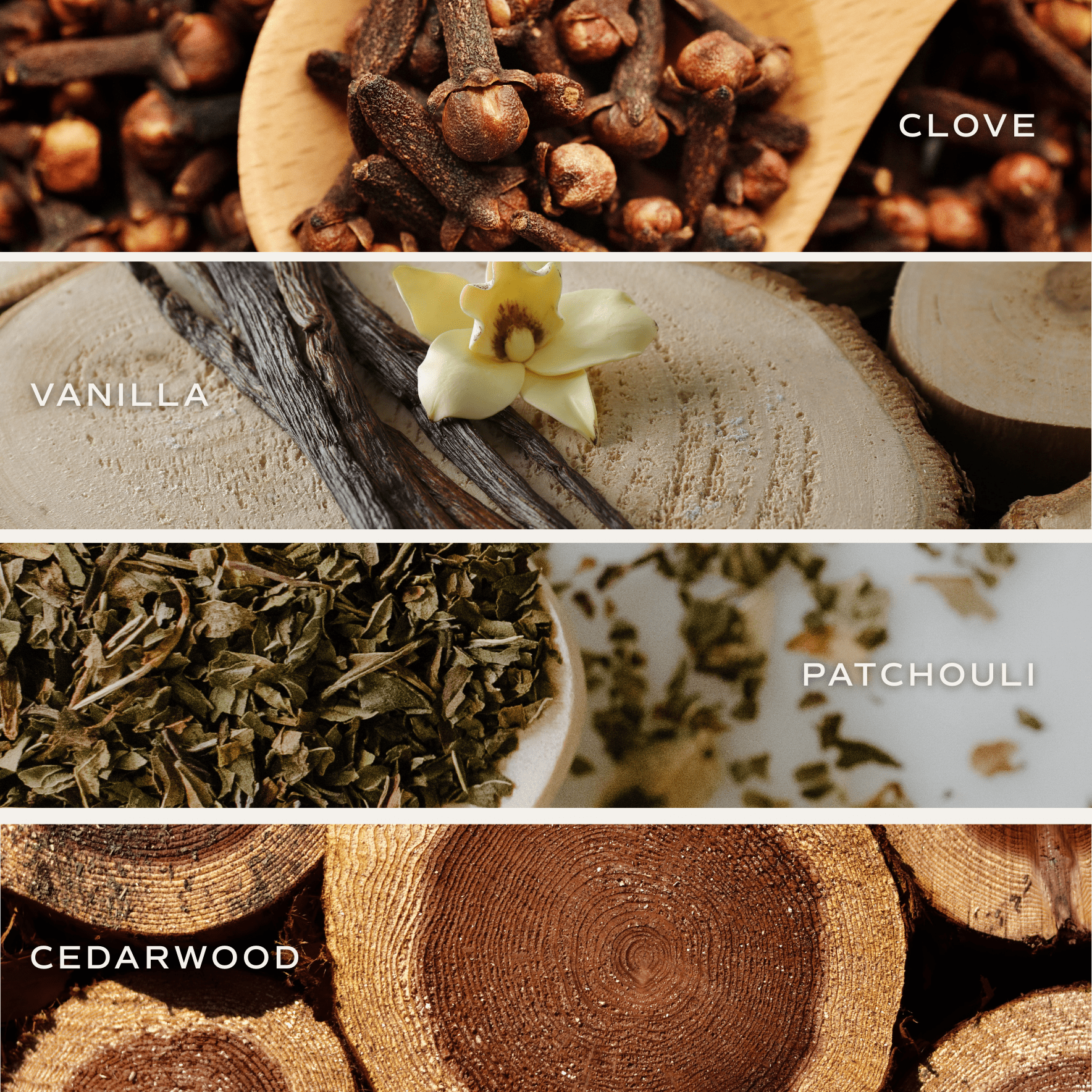 Palo Santo Patchouli Hanging Air Freshener - Sweet Water Decor - Air Freshener
