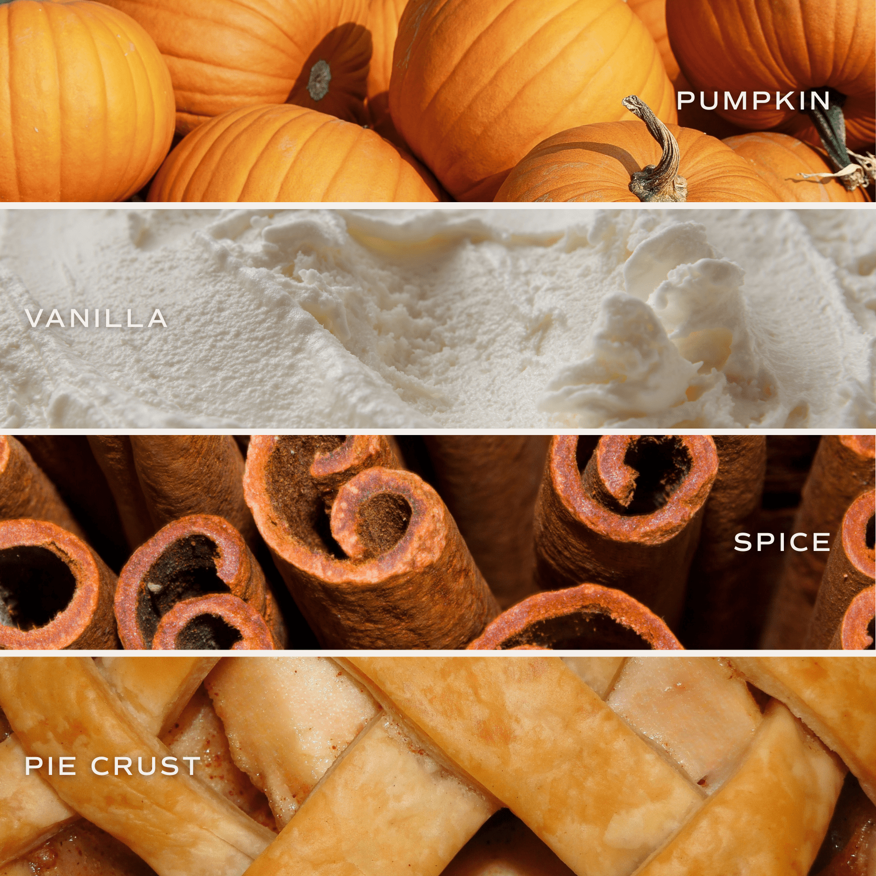 Pumpkin Pie Soy Candle - Orange Matte Jar - 15 oz (Hello Pumpkin) - Sweet Water Decor - Candles