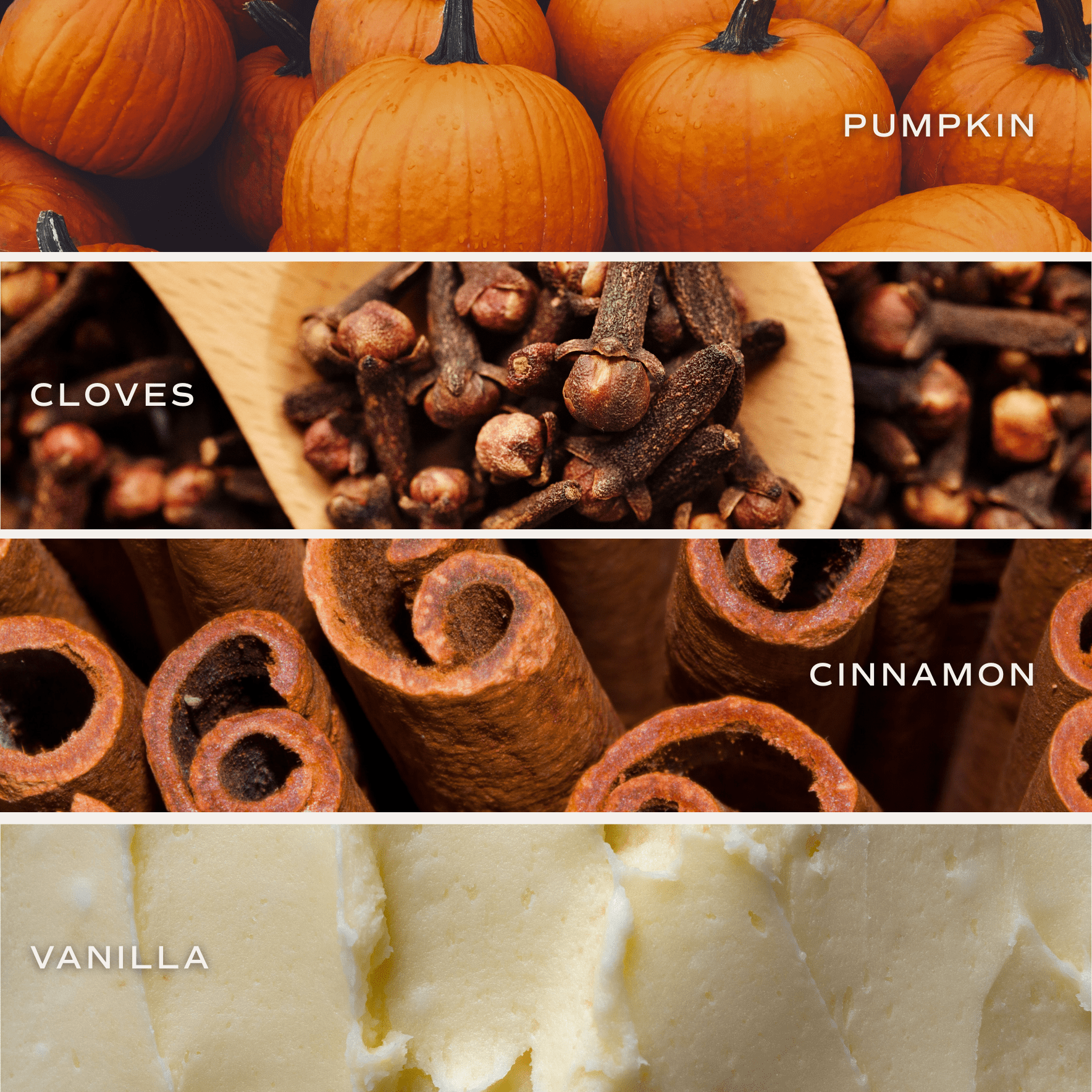 Pumpkin Spice Soy Candle - Patterned 9 oz - Clear Jar - Sweet Water Decor - Candles