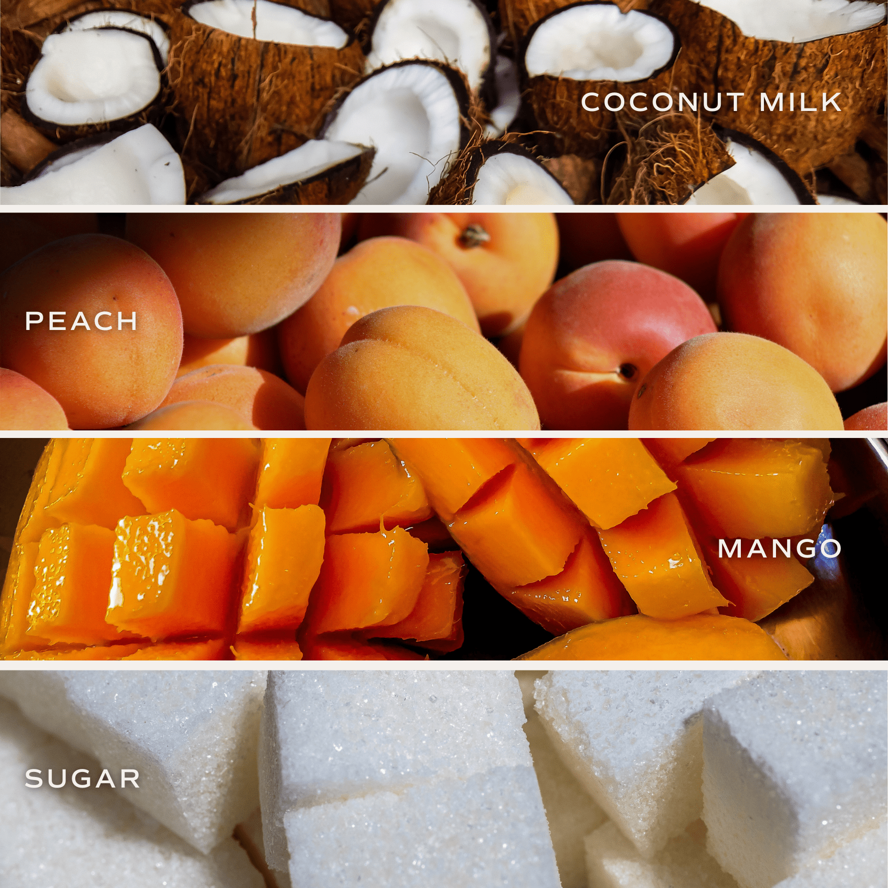 Mango and Coconut Tinted Glass Jar Reed Diffuser - Sweet Water Decor - Reed Diffusers